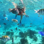 Isla Mujeres Catamaran with Snorkeling
